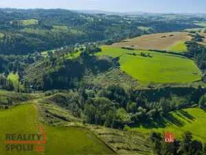 Prodej rodinného domu, Brtnice - Přímělkov, 140 m2