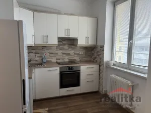 Pronájem bytu 1+1, Opava - Předměstí, Zámecký okruh, 38 m2