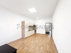 Prodej bytu 2+kk, Brno, Bratislavská, 55 m2