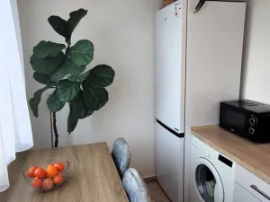 Prodej bytu 2+1, Vodňany - Vodňany II, Výstavní, 65 m2