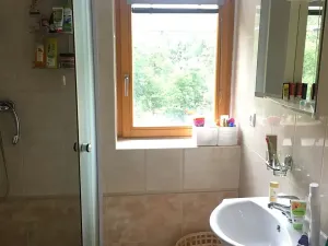 Pronájem bytu 1+kk, Brno, Obilní trh, 21 m2