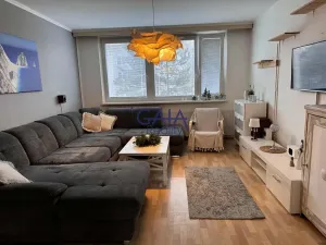 Prodej bytu 3+1, Hodonín, Lužní, 68 m2