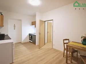 Pronájem bytu 1+kk, Brno, Francouzská, 27 m2