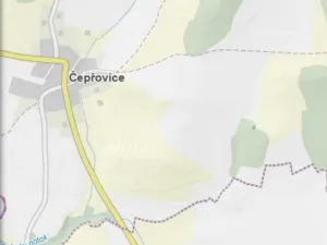 Prodej lesa, Čepřovice, 193 m2