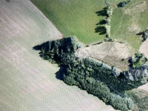 Prodej lesa, Čepřovice, 193 m2