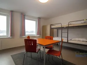 Pronájem ubytování, Přerov nad Labem, 445 m2