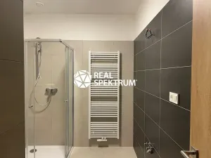 Pronájem bytu 3+kk, Blansko, Poříčí, 69 m2