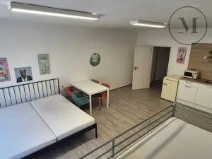 Pronájem bytu 1+kk, České Budějovice, Skuherského, 45 m2