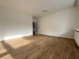 Pronájem bytu 3+kk, Plzeň - Severní Předměstí, Elišky Krásnohorské, 67 m2