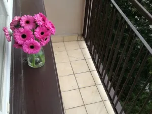 Pronájem bytu 2+1, Ostrava - Poruba, Sokolovská, 55 m2