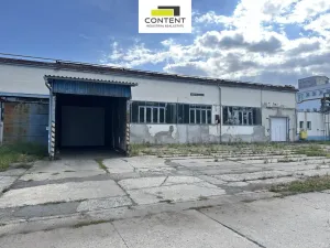 Pronájem výrobních prostor, Příbram - Příbram I, Obecnická, 9000 m2
