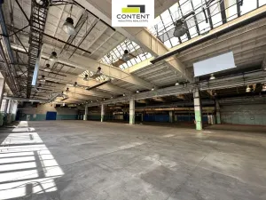 Pronájem výrobních prostor, Příbram - Příbram I, Obecnická, 9000 m2