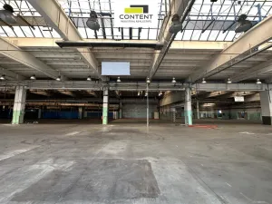 Pronájem výrobních prostor, Příbram - Příbram I, Obecnická, 9000 m2