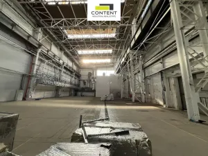 Pronájem výrobních prostor, Plzeň - Skvrňany, Na Pomezí, 1980 m2