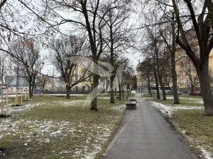 Prodej bytu 2+kk, Plzeň, Karlova, 51 m2