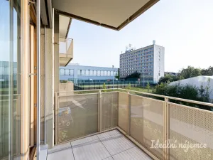 Pronájem bytu 1+kk, Praha - Malešice, Mölzerova, 30 m2