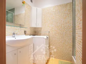 Pronájem bytu 2+kk, Praha - Libeň, Sokolovská, 50 m2