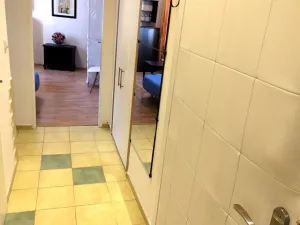 Pronájem bytu 1+1, Ostrava - Moravská Ostrava, Solná, 32 m2