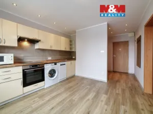 Pronájem bytu 1+1, Cheb, Dvořákova, 37 m2