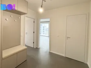 Pronájem bytu 2+kk, Ostrava, F. X. Riepla, 61 m2