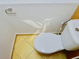 Pronájem bytu 2+1, Plzeň, Sokolovská, 63 m2