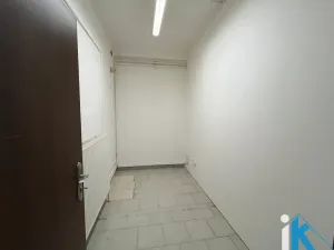 Pronájem obchodního prostoru, Prostějov, Wolkerova, 173 m2