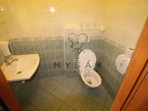 Pronájem bytu 4+1, České Budějovice - České Budějovice 3, Holečkova, 100 m2