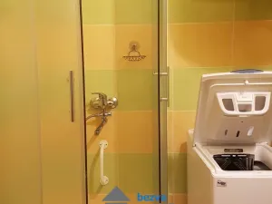 Pronájem bytu 1+1, Luže, Družstevní, 42 m2