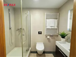 Pronájem bytu 4+kk, Praha - Žižkov, Ke kapslovně, 156 m2