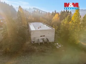 Prodej výrobních prostor, Havlovice, 1236 m2