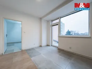 Prodej bytu 1+1, Strakonice - Strakonice I, Mlýnská, 39 m2