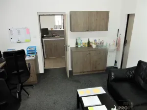 Pronájem komerční nemovitosti, Kladno, Smetanova, 170 m2