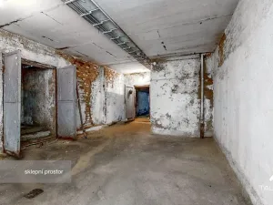 Prodej rodinného domu, Roupov, 525 m2