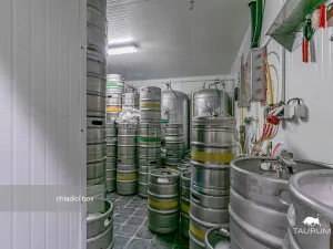 Prodej kanceláře, Rokycany - Plzeňské Předměstí, Sokolská, 413 m2