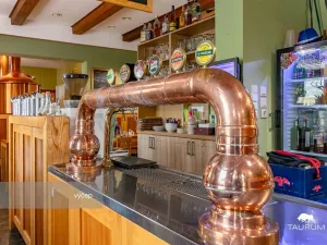 Prodej restaurace, Rokycany - Plzeňské Předměstí, Sokolská, 413 m2