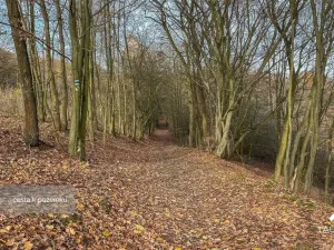 Prodej pozemku, Jílové u Prahy, 3438 m2