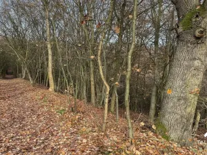 Prodej pozemku, Jílové u Prahy, 3438 m2