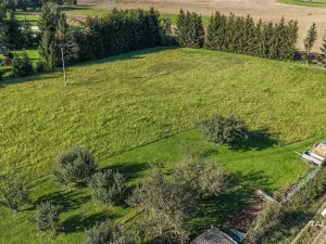 Prodej pozemku pro bydlení, Chodouň, 6455 m2