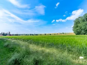 Prodej pozemku pro bydlení, Chodouň, 6455 m2