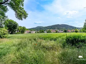 Prodej pozemku pro bydlení, Chodouň, 6761 m2