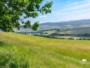 Prodej pozemku, Chudenín, 139968 m2