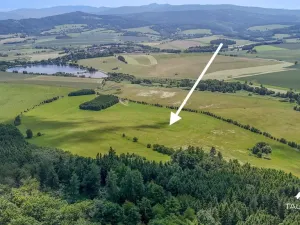 Prodej pozemku, Chudenín, 139968 m2