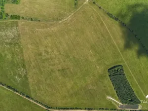 Prodej pozemku, Chudenín, 139968 m2