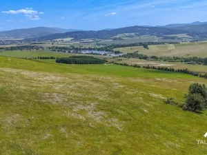 Prodej pozemku, Chudenín, 139968 m2