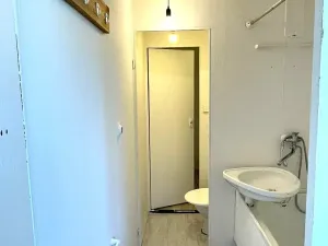 Prodej bytu 1+1, Český Krumlov, Sídliště Plešivec, 43 m2