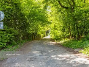 Prodej lesa, Petrov, 6490 m2