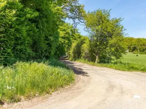 Prodej lesa, Petrov, 6490 m2