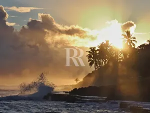 Prodej apartmánu, Cabarete,Dominikánská republika, 72 m2