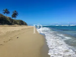 Prodej bytu 2+kk, Cabarete,Dominikánská republika, 72 m2