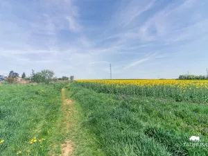 Prodej komerčního pozemku, Stříbro, 7355 m2